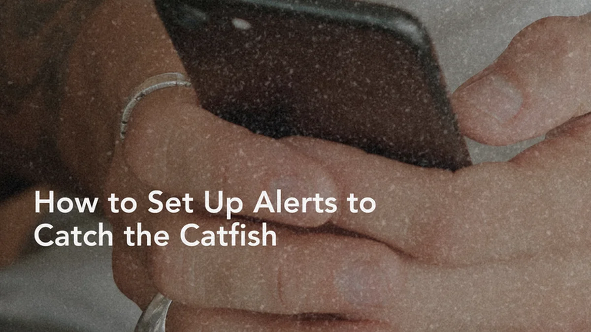 How to Set Up Alerts to Catch the Catfish