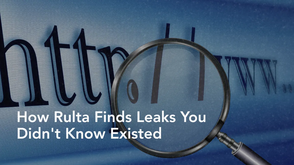 How Rulta Finds Leaks You Didn't Know Existed: Inside Our Scanning